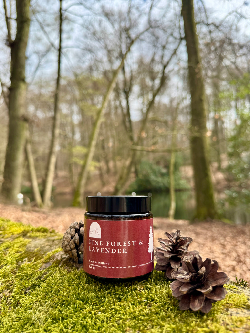 Pine Forest & Lavender