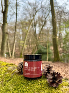Pine Forest & Lavender