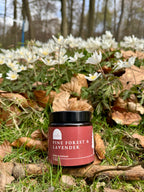 Pine Forest & Lavender