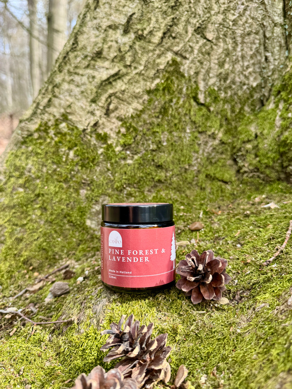 Pine Forest & Lavender