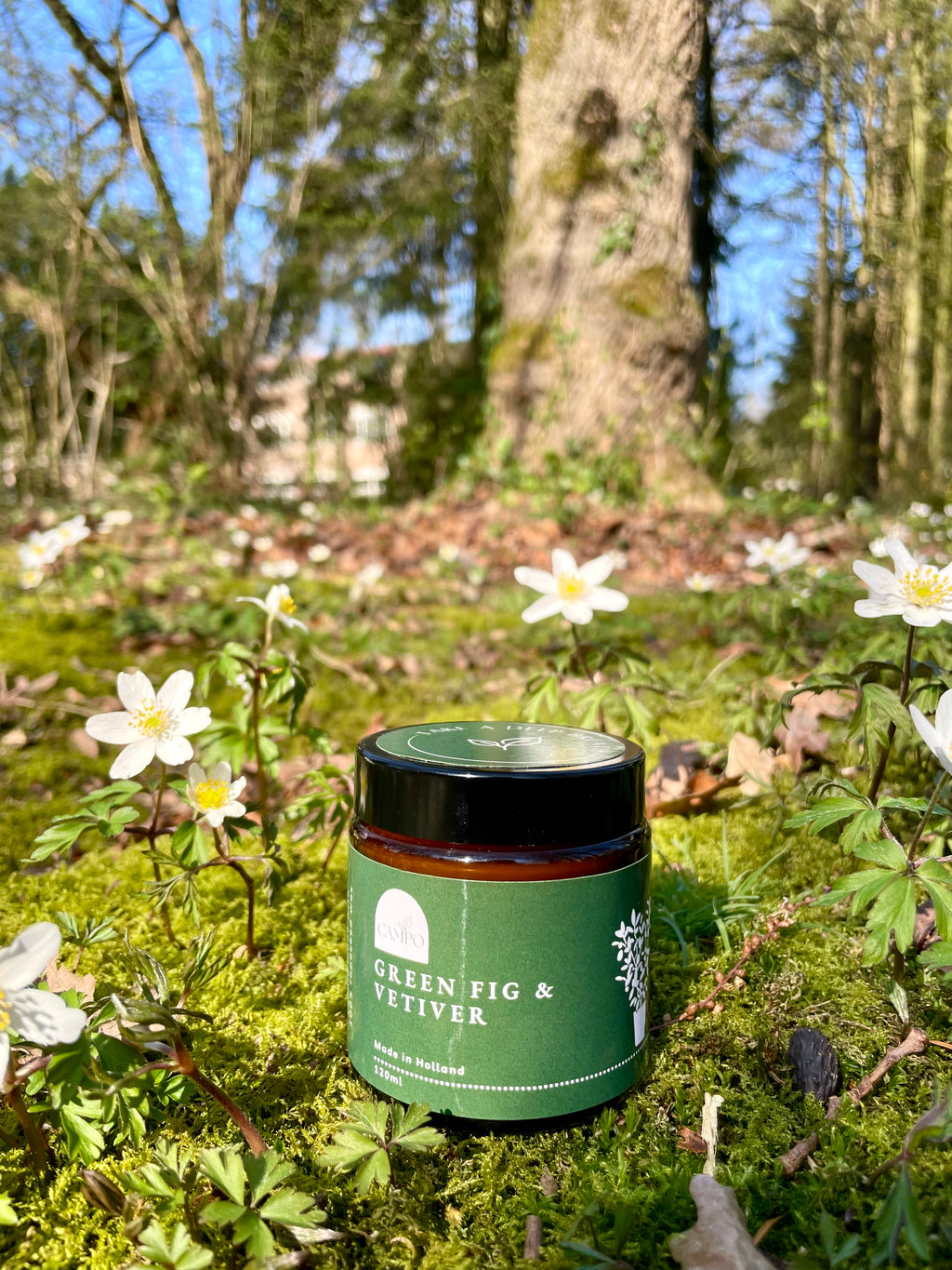 Green Fig & Vetiver